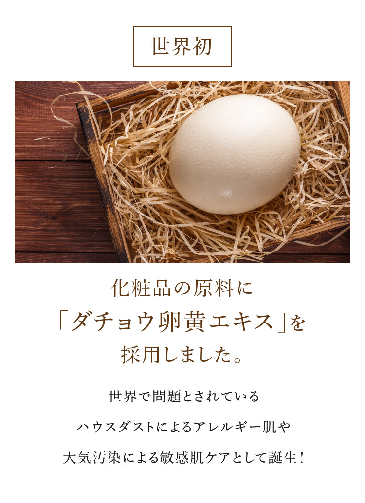 sorb's ソーブス