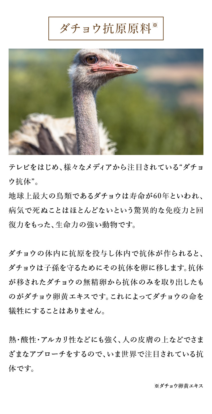 sorb's ソーブス