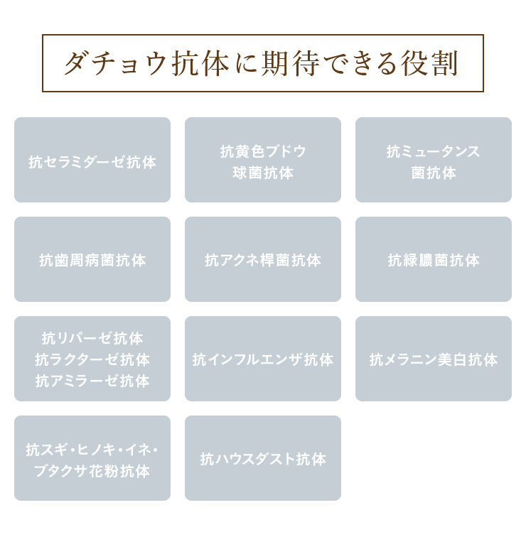 sorb's ソーブス